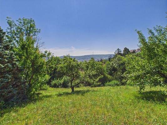 Aussicht bis Fernsehturm