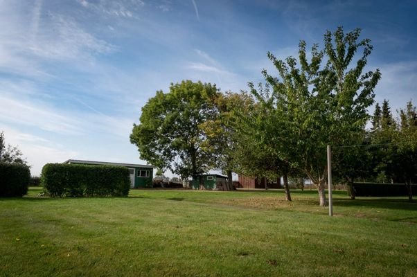 Grundstück-Garten