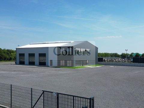 Stadthagen Halle, Stadthagen Hallenfläche