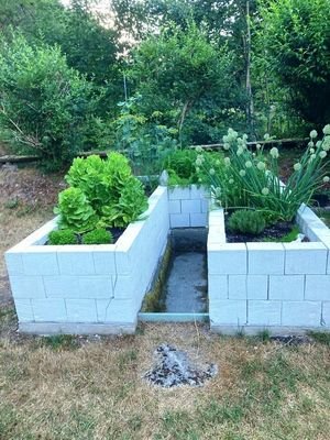 Garten3.jpg