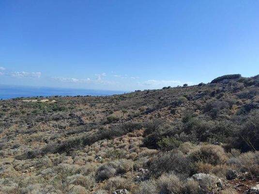 Kreta, Kokkino Chorio: Riesiges Grundstück mit Meerblick zu verkaufen