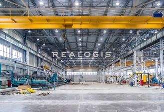 Exemplarische Ansicht