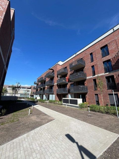 Lüneburg Wohnungen, Lüneburg Wohnung mieten