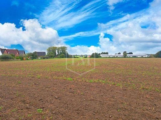 am Hof angrenzende Ackerlandparzelle - Ostansicht