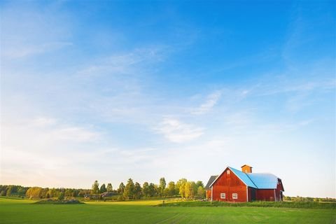 Großalmerode Bauernhöfe, Landwirtschaft, Großalmerode Forstwirtschaft