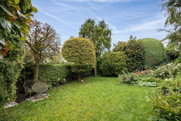 Eingewachsener Garten