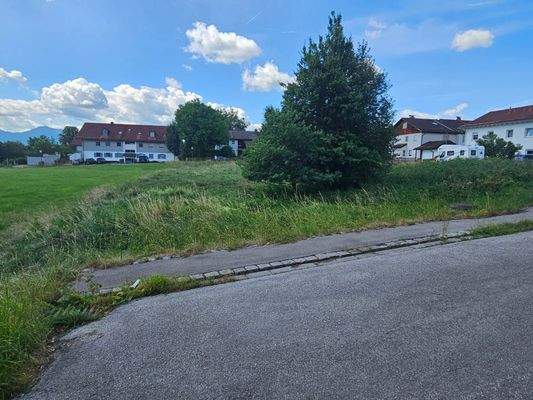 Ansicht Steigenberger Str ende.jpg