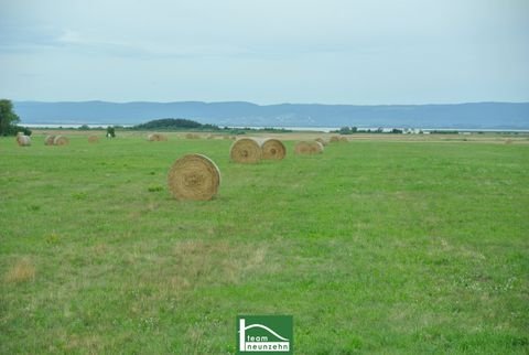 Podersdorf am See Wohnungen, Podersdorf am See Wohnung kaufen