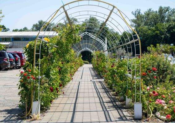 Umgebung_Havel Marin