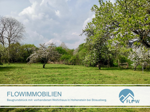Strausberg Häuser, Strausberg Haus kaufen
