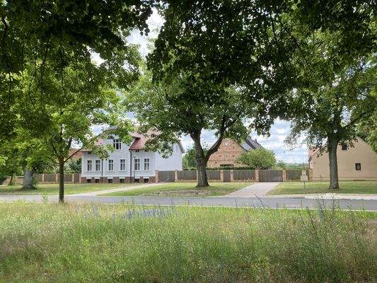 20250619_114943490_iOS