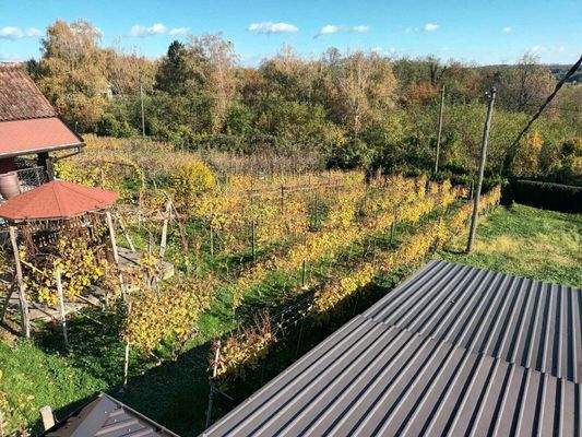 WhatsApp Image 2024-01-16 at 09.12.34