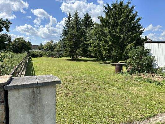 Blick vom Zugang in den großzügigen Garten