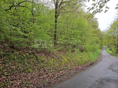 Windeck Grundstücke, Windeck Grundstück kaufen