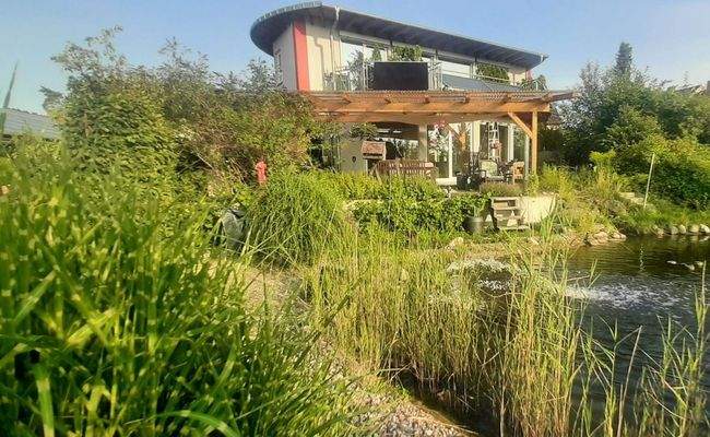 Ansicht Haus mit Schilf