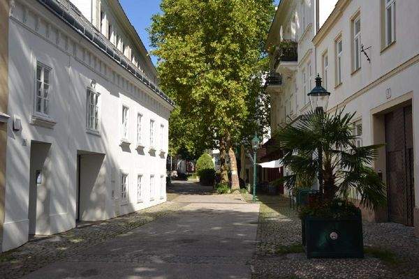 20250722_DSC_0042 (1