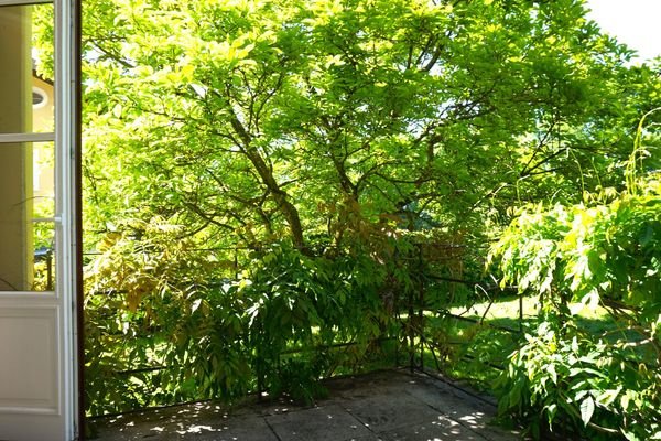 Bild 21