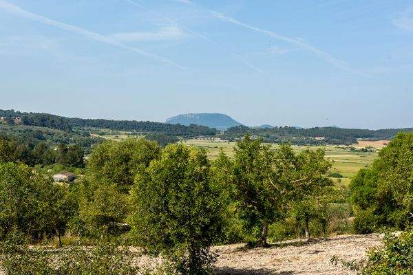 Freier Blick auf die umliegende Natur