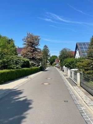 ruhige Anwohnerstraße, altgewachsen...