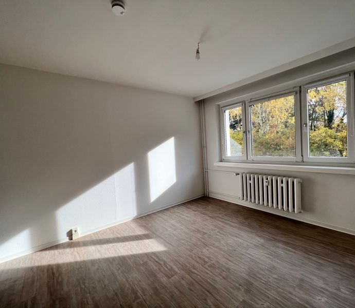 1 Zimmer Wohnung in Weimar (Schönblick)