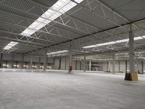 Schwäbisch Hall Halle, Schwäbisch Hall Hallenfläche