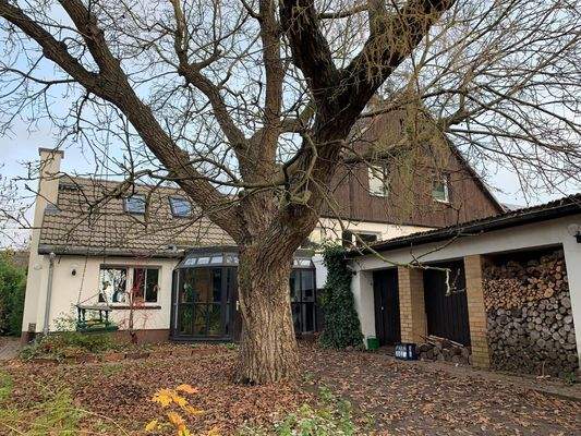 Hinteransicht DHH rechts