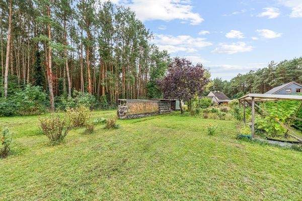 Wiese im hinteren Teil