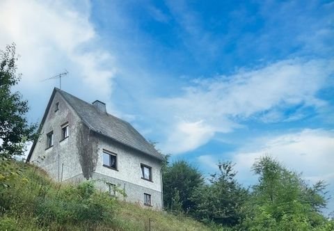 Willingen (Upland) Häuser, Willingen (Upland) Haus kaufen