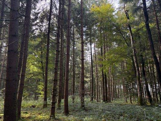 2025-10-08 15.15.10.jpg