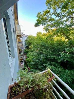 Blick ins Grüne vom Küchenbalkon