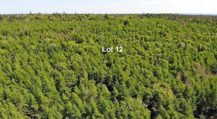 Cape Breton - Shaw Lake - 11,2 Hektar-Areal in her