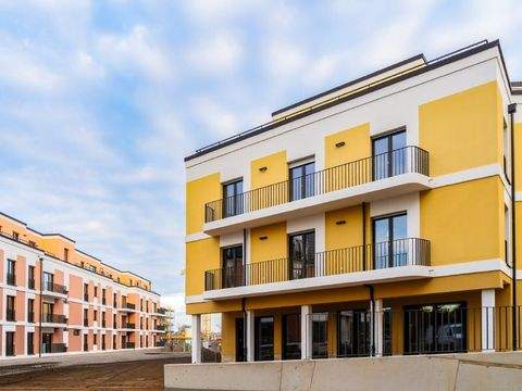 Dresden Ladenlokale, Ladenflächen 