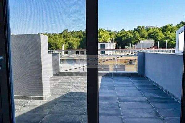 img_7adfec73-71c7-4b9c-97ca-5e9692ea3028