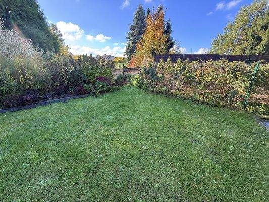 Nutzgarten mit Beerensträuchern