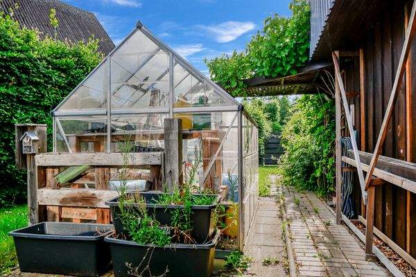 Gewächshaus