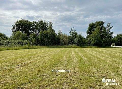 Aurolzmünster Grundstücke, Aurolzmünster Grundstück kaufen