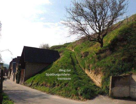 Bildschirmfoto 2025-09-03 um 09.01.14.jpg