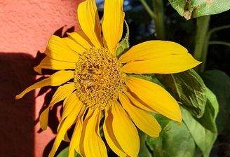 20210727_075725.jpg