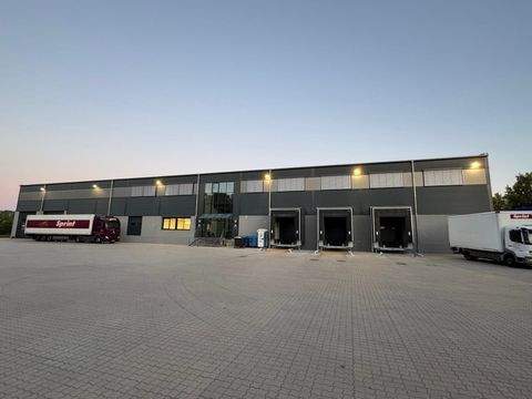 Neumünster Halle, Neumünster Hallenfläche