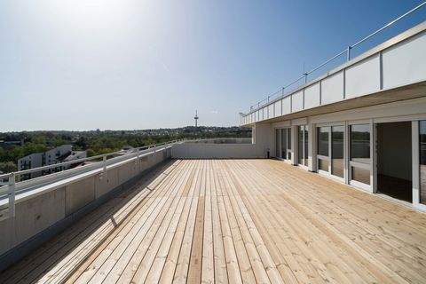 Regensburg Wohnungen, Regensburg Wohnung mieten