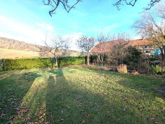 Ansichten - Grundstück