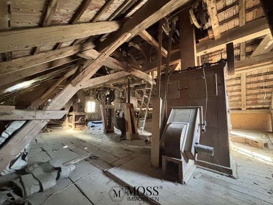 Impressionen