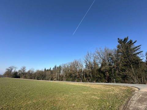 Tiefenbach Bauernhöfe, Landwirtschaft, Tiefenbach Forstwirtschaft