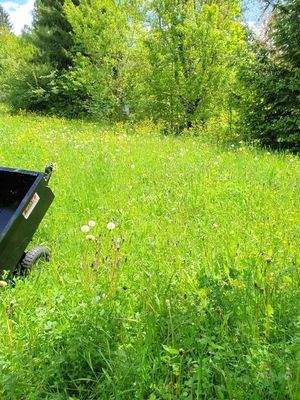 Grundstücksteil, Wiese