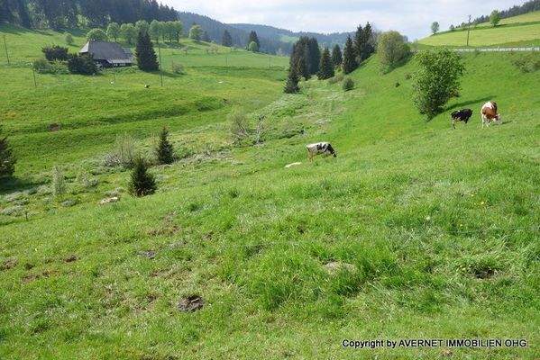 Landschaftsbild - in der Nähe