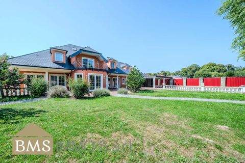 Wolsfeld Häuser, Wolsfeld Haus kaufen