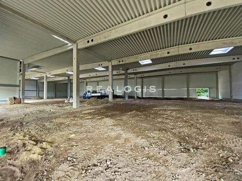 Gelsenkirchen Halle, Gelsenkirchen Hallenfläche