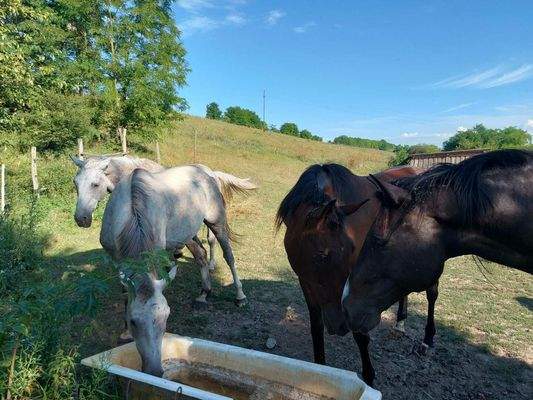 WhatsApp Bild 2025-10-07 um 14.54.33_525f924a