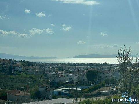 Kusadasi Grundstücke, Kusadasi Grundstück kaufen