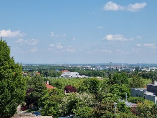 Ausblick Turm / DG